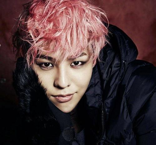 xhy明星,闪耀舞台，魅力无限