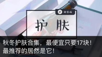 明星红腰子,揭秘明星们的时尚宠儿