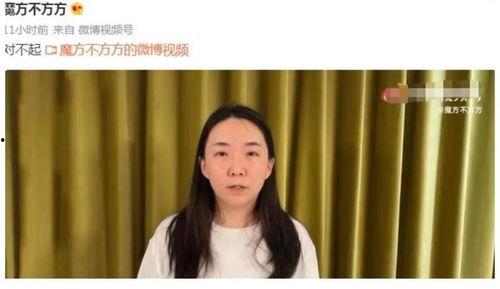 公知明星,引领时代潮流的舆论先锋
