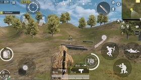 q区和平精英明星id,揭秘q区传奇选手的荣耀之路