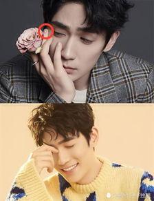 明星手掌,命运轨迹与个性魅力的完美融合