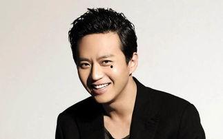 中国电影男明星排行榜,实力与魅力并存的璀璨之星