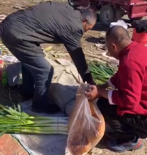 红衣大爷吃瓜,红衣大爷的瓜田奇遇记