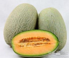 蛇吃哈密瓜,一场奇妙的自然奇观