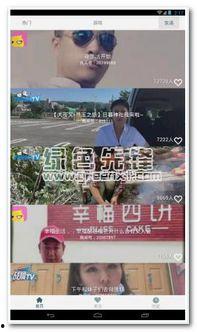 国内版头条如何看直播,揭秘热门直播背后的秘密与趋势