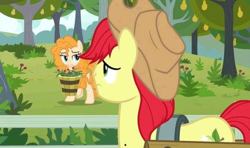 小马漫漫-今日看料-美好生活,探寻今日看料，解锁美好生活秘诀