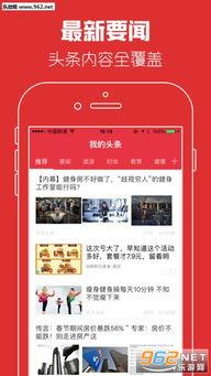 如何看头条用户的电话,洞察隐私与安全的双重挑战