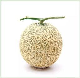 吃瓜的两人,两颗吃瓜心的奇妙碰撞