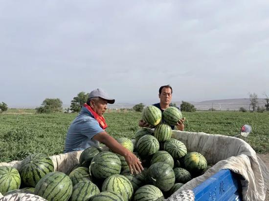 朝圣吃瓜后续,揭秘神秘朝圣之旅中的趣味瞬间