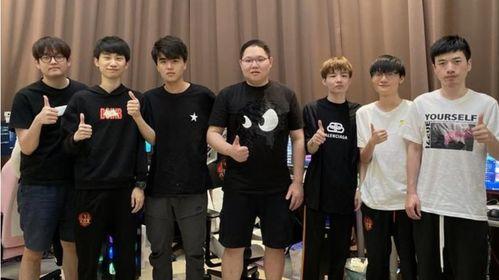 万全 网红 被打,真相与反思