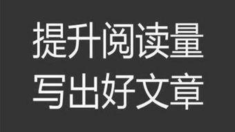 头条怎么选领域最多的,揭秘热门领域选择背后的数据秘密