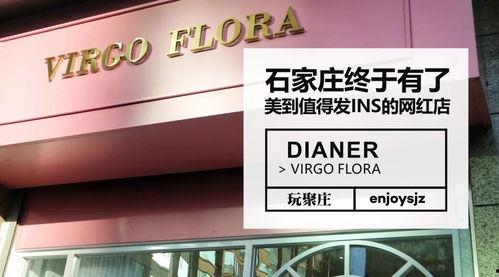 石家庄网红店招聘网