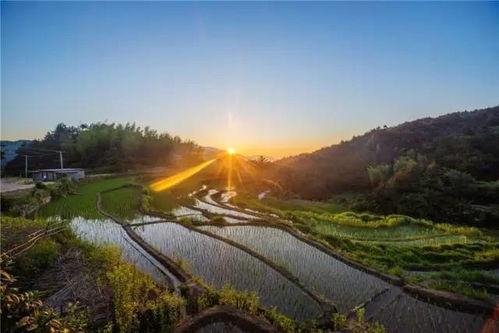 头条美丽乡村大别山图片
