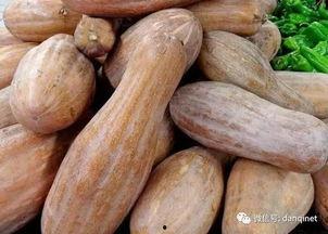 长条的方瓜咋吃,长条方瓜的多彩食法探索