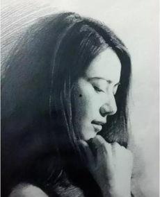 姓菊的明星,璀璨星河中的独特风采