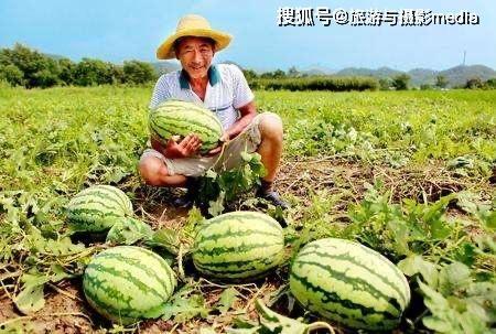 米各庄吃瓜视频