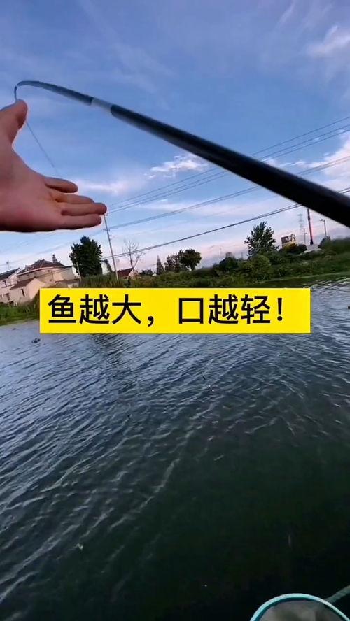 头条号户外钓鱼视频,跟随头条号户外钓鱼视频，探寻自然之美与钓鱼乐趣