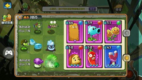 植物全明星最强植物,全明星最强植物争霸战