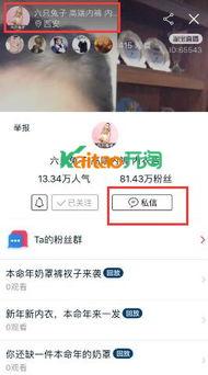 头条怎么搜主播网名呢,如何通过头条轻松搜索主播网名