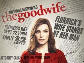 傲骨贤妻 客串明星