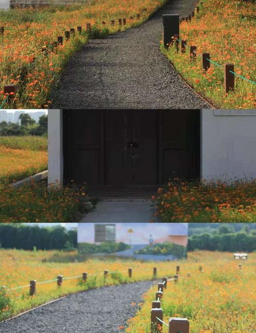 宁波网红拍照地,宁波网红打卡圣地探秘之旅