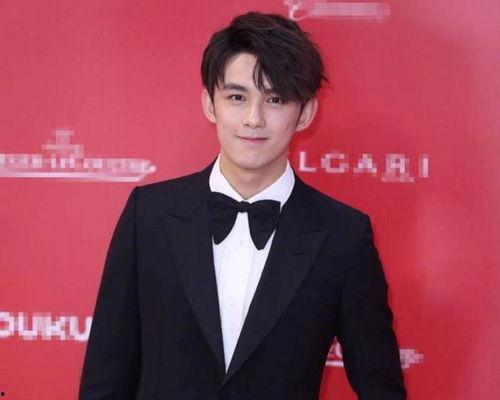 明星 高文化,闪耀娱乐圈的智慧之光