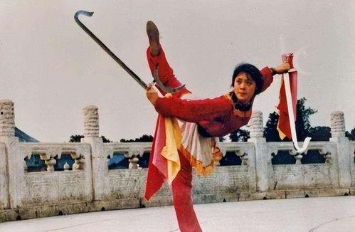 国内武术女明星,盘点国内武术女明星的风采与传奇